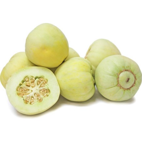 Semi di Melone Giapponese Sakata's Sweet | Seeds Shop Store