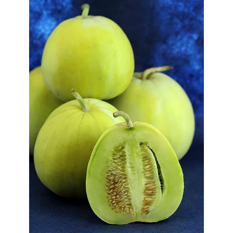 Semi di Melone Giapponese Sakata's Sweet | Seeds Shop Store