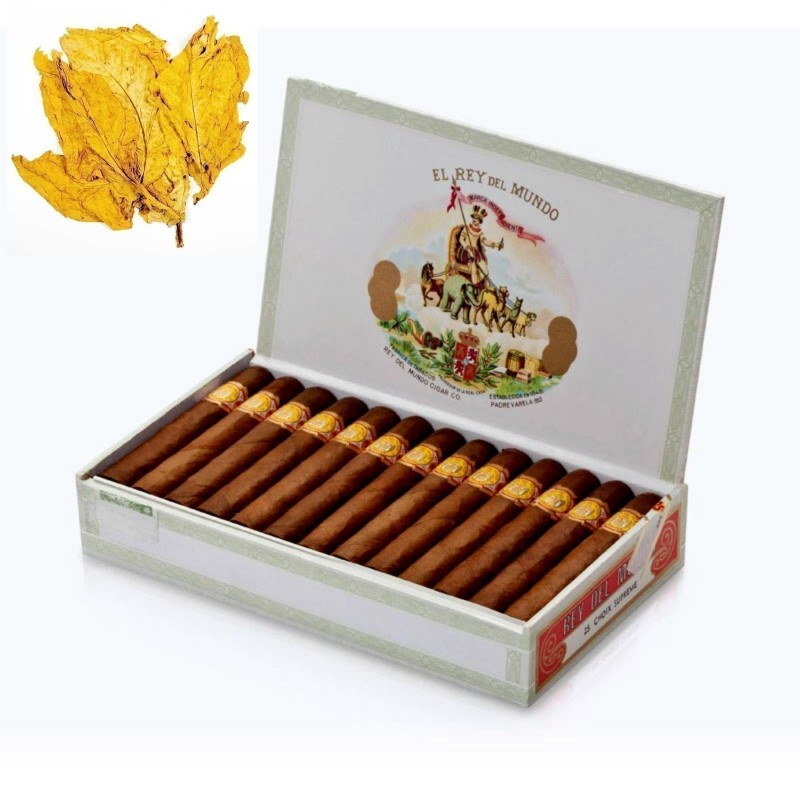 Sementes de tabaco Havana Gold | Seeds Shop Store