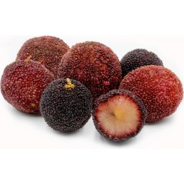 Sementes de Yangmei, Morango Chinês - 703.73745