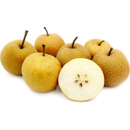 Azijska Kruska Seme (Pyrus pyrifolia) Chinese Sand Pear - 351.868725