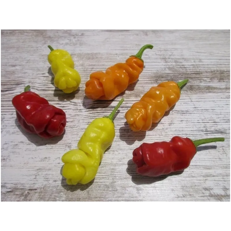 Penis Chili Seeds | Seeds Shop Store