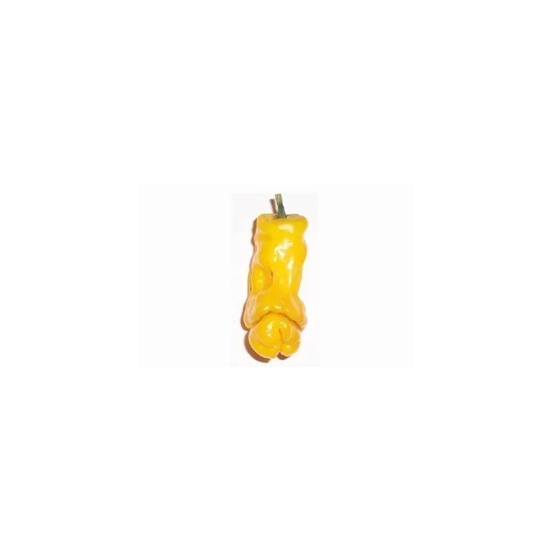 Penis Chili Seeds | Seeds Shop Store