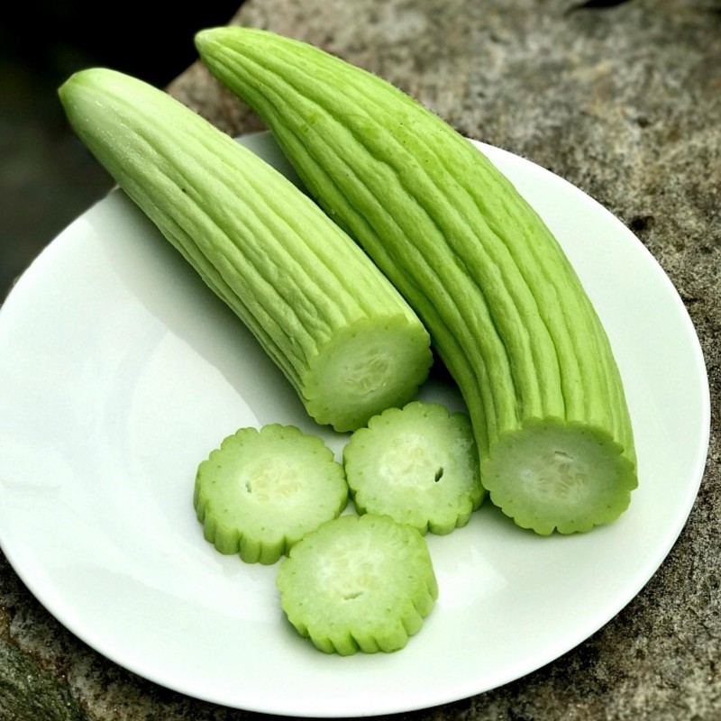 Armenian Yard Long Cucumber Seeds | Seeds Shop Store