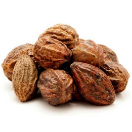 King of medicinal herbs Myrobalan Seeds (Terminalia chebula) - 4.455