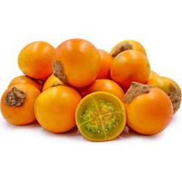 Semena Naranjilla Lulo - 228.714671