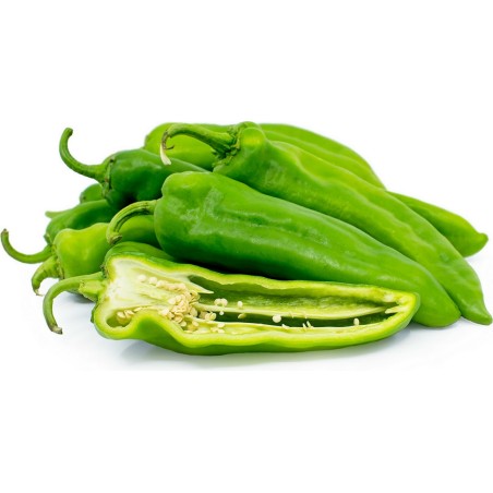 Semillas de chile ANAHEIM (Capsicum Annuum) | Seeds Shop Store