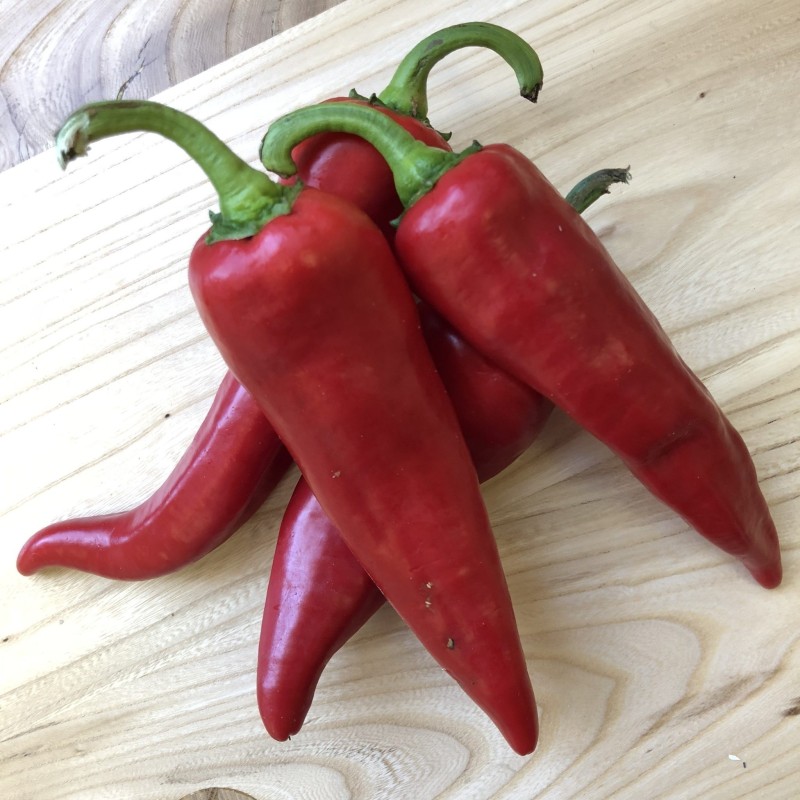 Semillas de chile ANAHEIM (Capsicum Annuum) | Seeds Shop Store