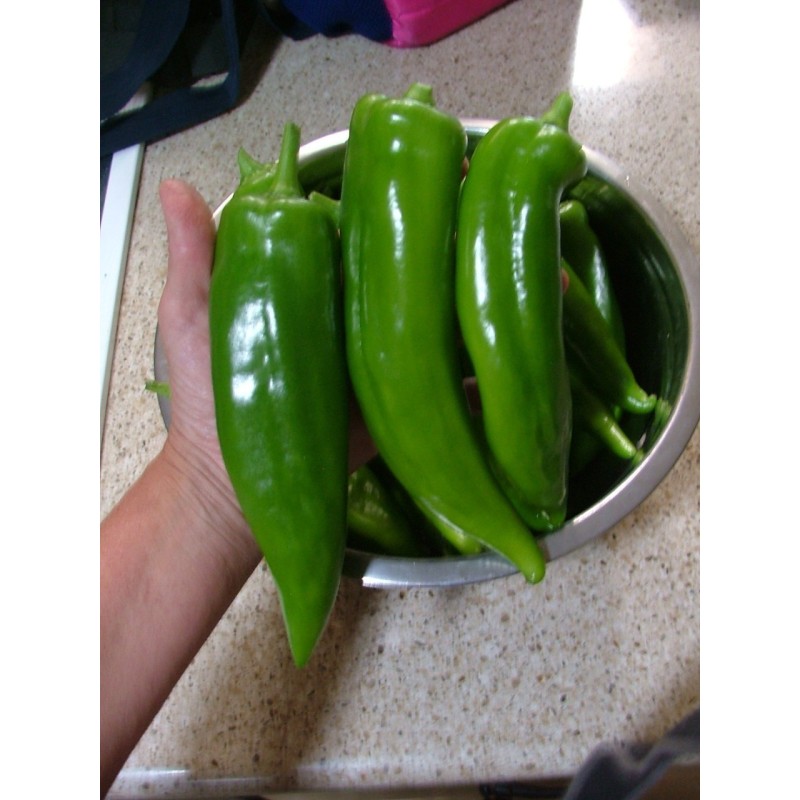 Semillas de chile ANAHEIM (Capsicum Annuum) | Seeds Shop Store
