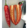 Semillas de chile ANAHEIM (Capsicum Annuum) | Seeds Shop Store