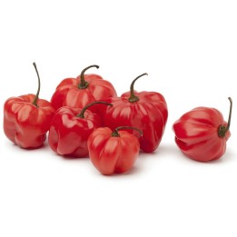 Semi di Peperoncino Scotch Bonnet Trinidad - 175.934363