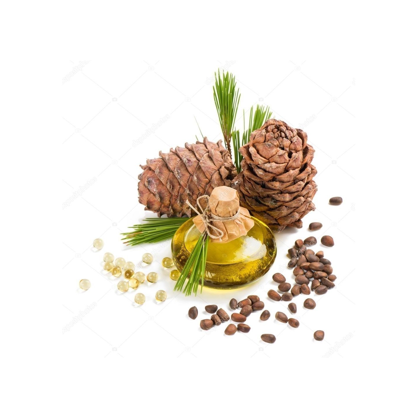 PINUS PUMILA - Pino Nano Siberiano, 10 Semi Selezionati EUR 2,50 - IT