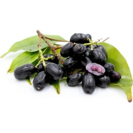 Sementes de Jamelão, Jambolão, Jamborão (Syzygium cumini) - 2.655