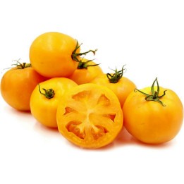 Golden Jubilee Tomaten Samen - 181.798841