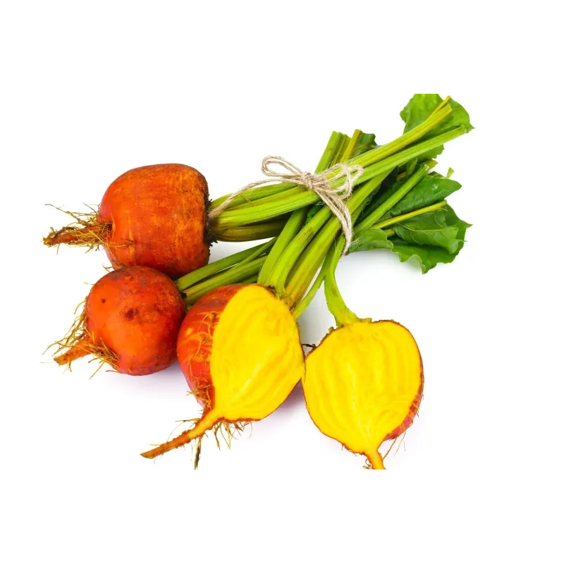 Golden Beetroot Seeds Golden Detroit | Seeds Shop Store