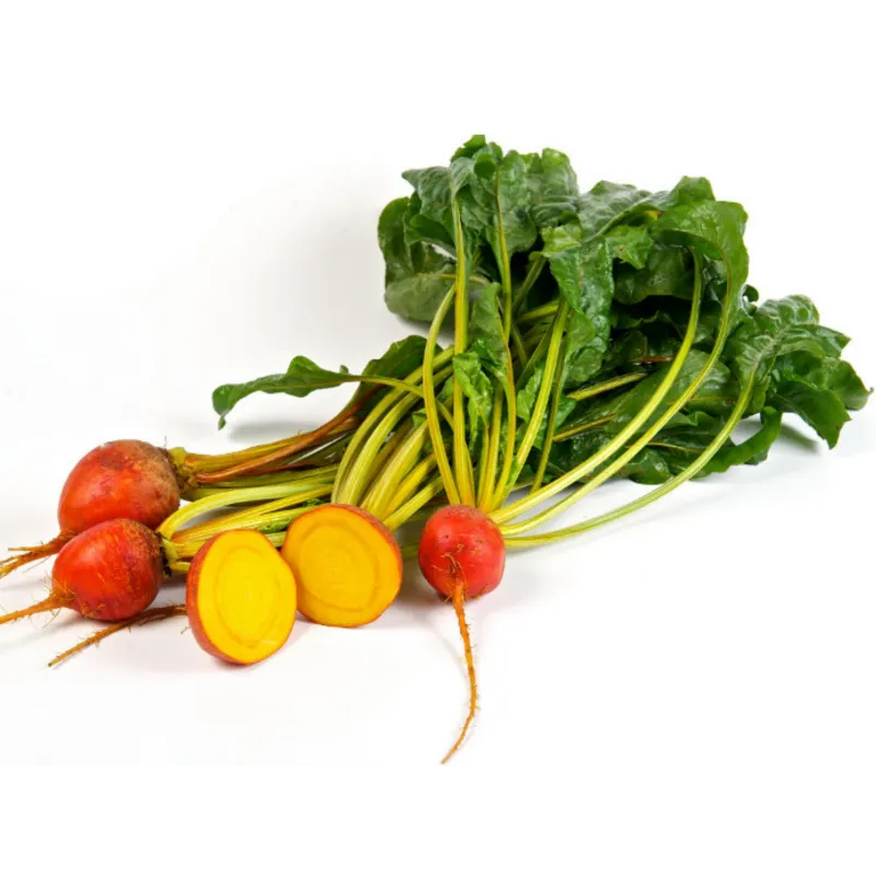 Golden Beetroot Seeds Golden Detroit | Seeds Shop Store