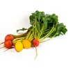 Golden Beetroot Seeds Golden Detroit | Seeds Shop Store