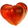 Semillas de tomate Oxheart | Seeds Shop Store