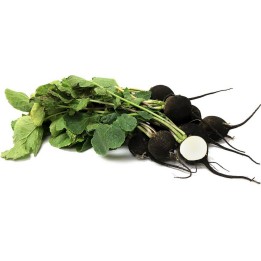 3.000 Black Radish Seeds - Spanish Round - 7.2