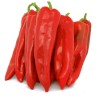 Corno di Toro Rosso Sweet Pepper Seeds | Seeds Shop Store
