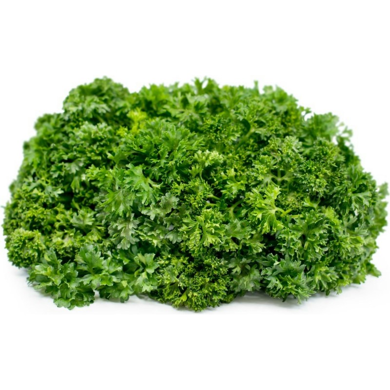 Parsley Seeds Mooskrause 2 | Seeds Shop Store
