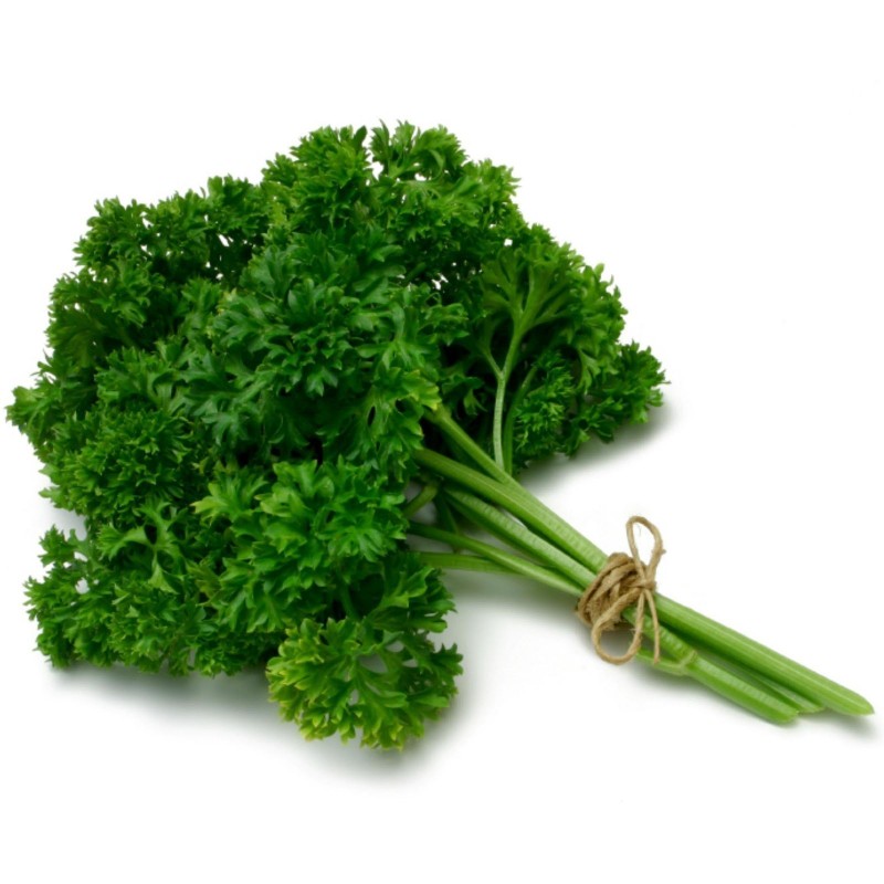 Parsley Seeds Mooskrause 2 | Seeds Shop Store