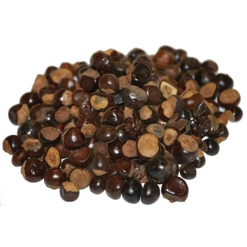 GUARANA Seeds (Paullinia Cupana) | Seeds Shop Store