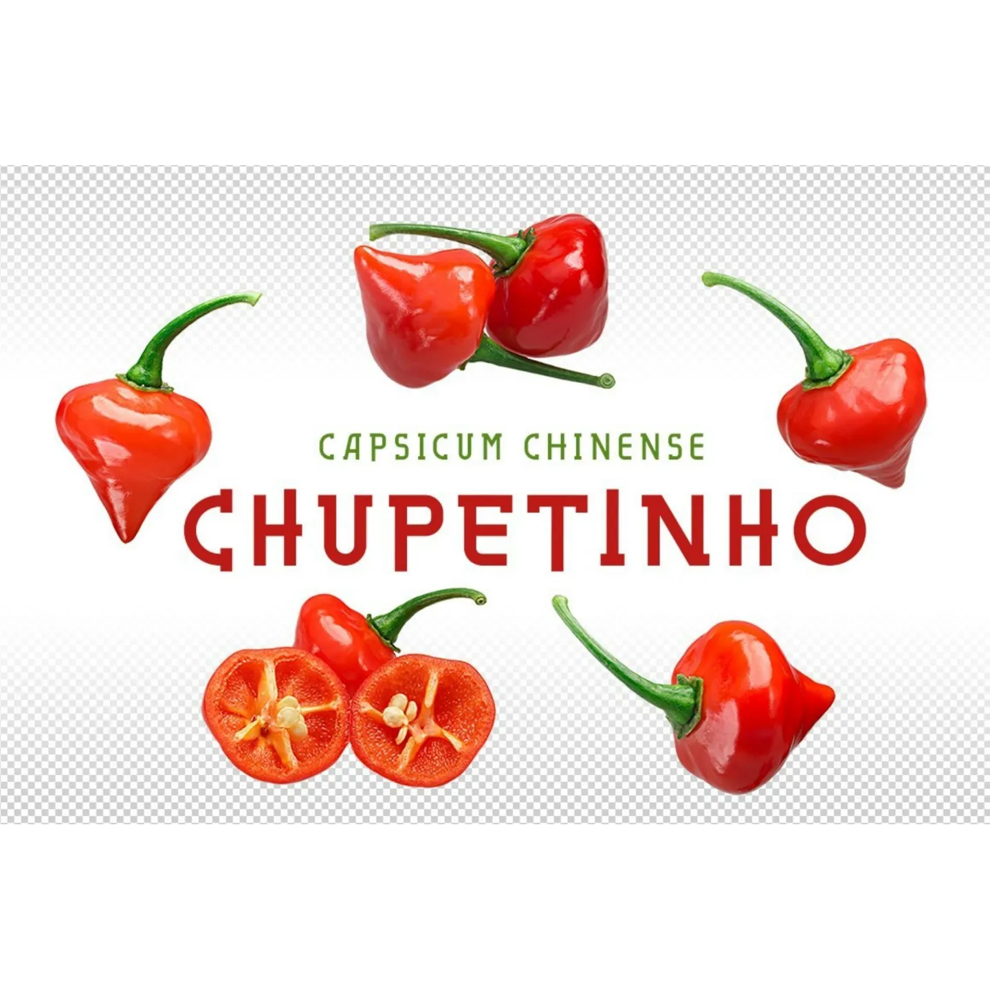 Sementes De Pimenta Chupetinho - Biquinho Vermelho ou Amarelo - 1.89