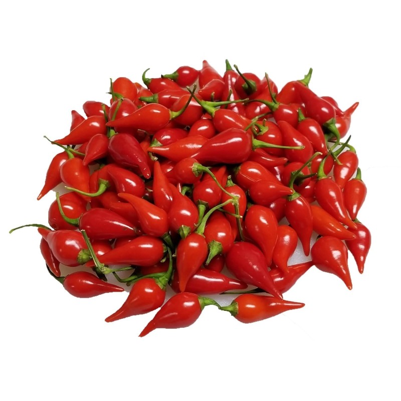 Semi di Peperoncino Chupetinho - Biquinho Rosso o Giallo | Seeds Shop Store