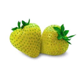 Sementes De Morango Amarelo Raras - 175.934363