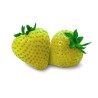 Strawberry Seeds Yellow Wonder | Seeds Shop Store