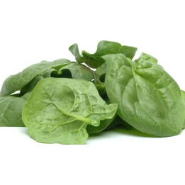 Giant American Spinach Seeds - 1.935