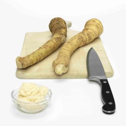 Racine de Raifort Champêtre / plantules, prêts à être plantés - 2.925