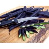 Graines de Haricots Blauhilde - 1.755