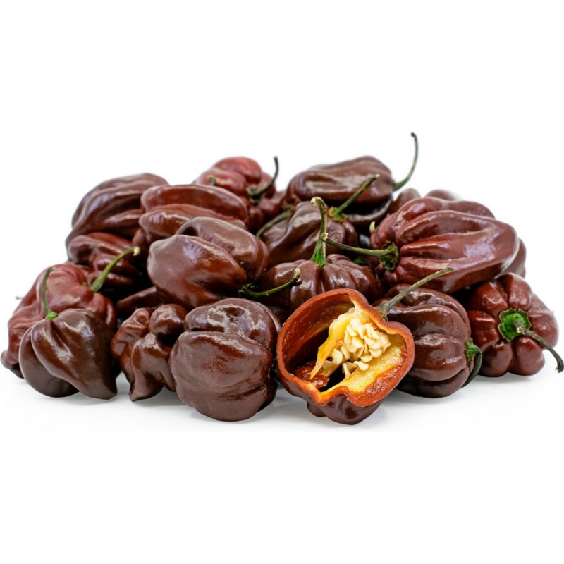 Habanero Chocolate Seeds | Seeds Shop Store
