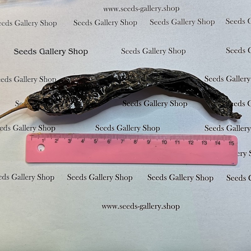 Peruanisches Aji Panca schwarzes Chili Pulver | Seeds Shop Store