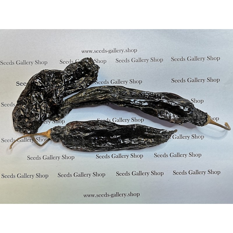 Peruanisches Aji Panca schwarzes Chili Pulver | Seeds Shop Store