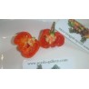 Semillas de Pimientos Picantes de Senegal | Seeds Shop Store