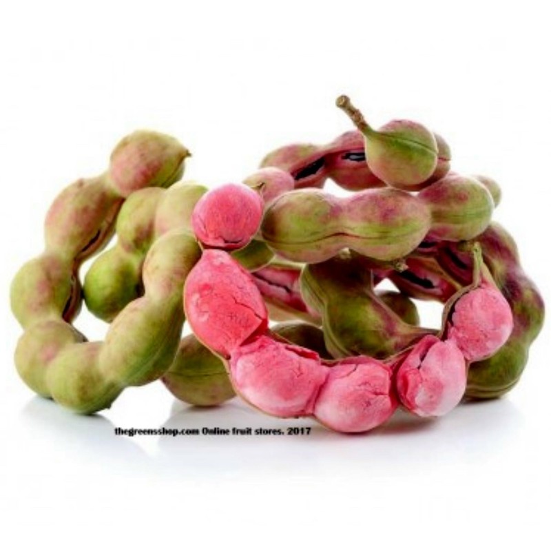 Semi di Tamarindo di Manila (Pithecellobium dulce) | Seeds Shop Store