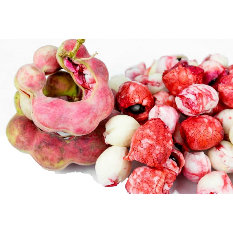Semi di Tamarindo di Manila (Pithecellobium dulce) | Seeds Shop Store