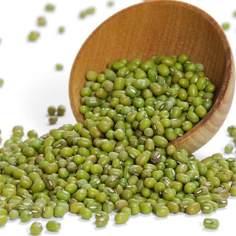 Mung Bean Seeds (Vigna radiata) | Seeds Shop Store