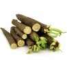 Black Salsify Seeds (Scorzonera hispanica) | Seeds Shop Store