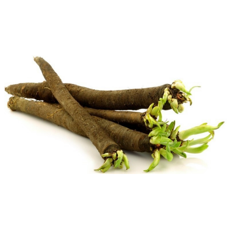 Black Salsify Seeds (Scorzonera hispanica) | Seeds Shop Store