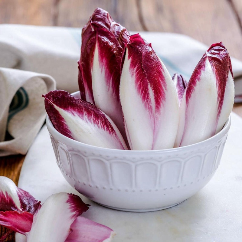 Semi di Cicoria di Rossa di Treviso | Seeds Shop Store