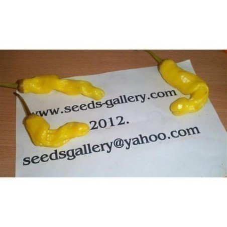 Penis Chili Seeds | Seeds Shop Store