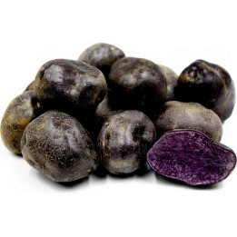 Peruvian Purple Potato Seeds - 3.6