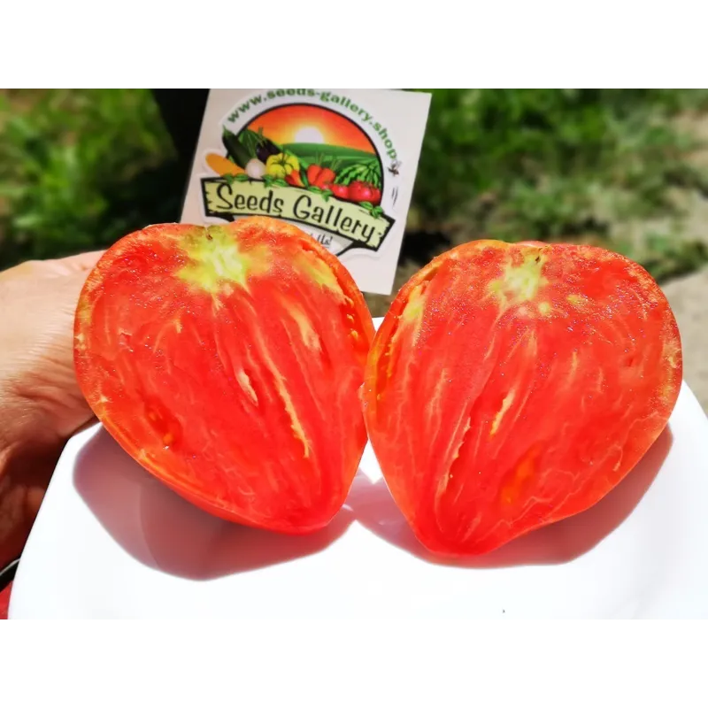 Semillas de tomate Oxheart | Seeds Shop Store