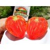Semillas de tomate Oxheart | Seeds Shop Store