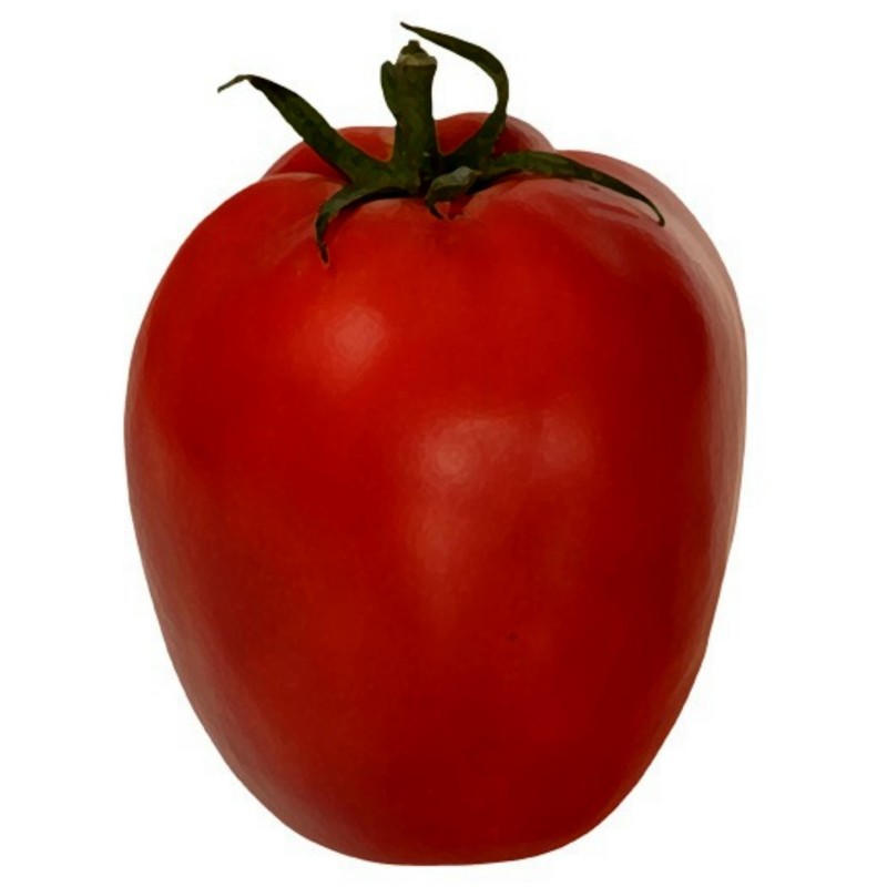 Tomatensamen Alparac - Sorte aus Serbien. | Seeds Shop Store
