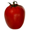 Tomatensamen Alparac - Sorte aus Serbien. | Seeds Shop Store